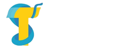 Techius Solutions
